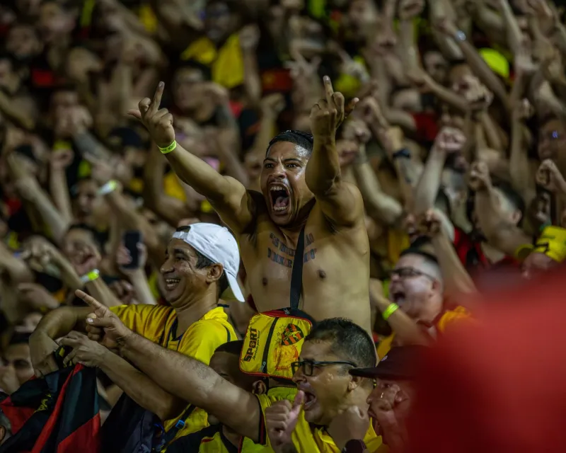 Bound by the Nest: The Hidden Psychology Behind Sports Fandom's Most Unbreakable Bonds